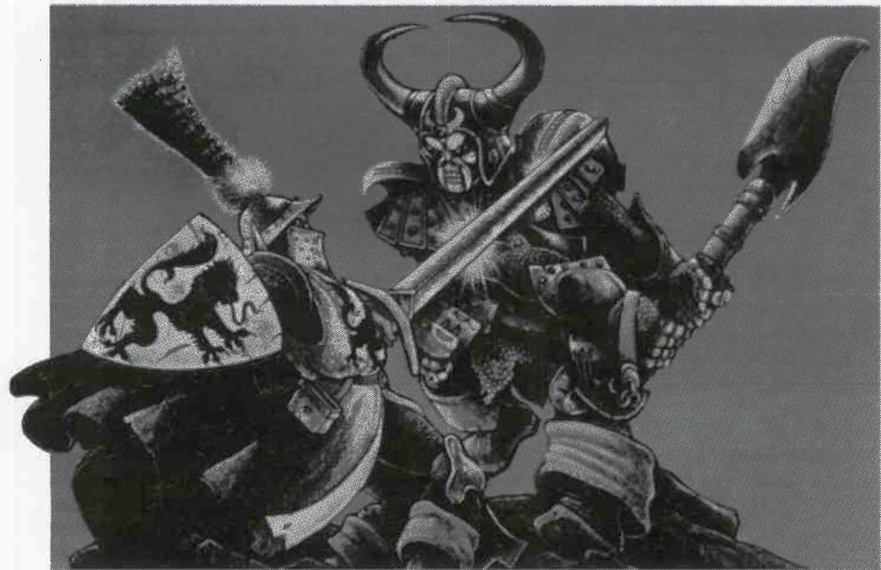 MB HERO QUEST - D) Autres renseignements: - 1