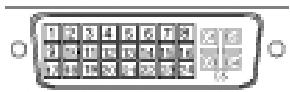 EIZO COLOREDGE CG221 - Pin Assignment - 1