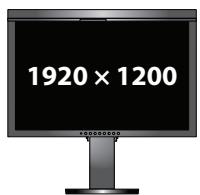 EIZO COLOREDGE CG245W - 4