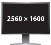 EIZO COLOREDGE CG303W - 5