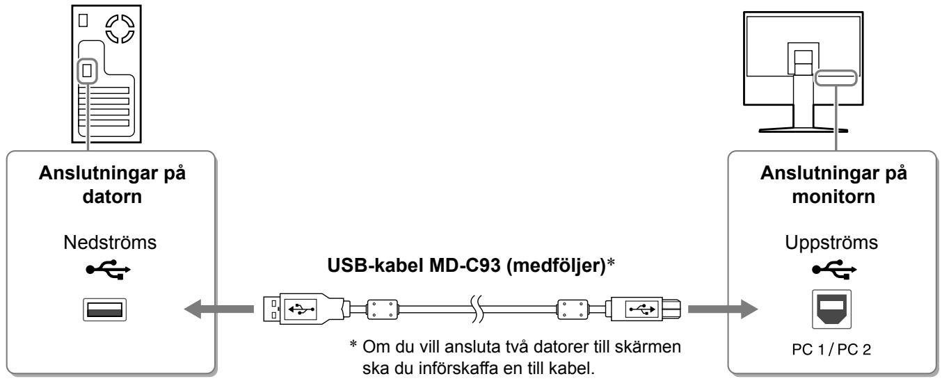EIZO FLEXSCAN HD2441W - Anslut USB-kabeln till USB-portarna på datorn (nedströms) och skärmen (uppströms). - 1