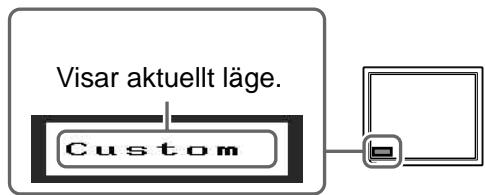 EIZO FLEXSCAN M1700 - Valja skärmläge - 1