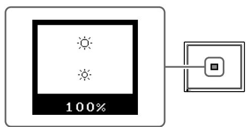 EIZO FLEXSCAN M1700 - Púθμiση φωτεΙνότητας - 1