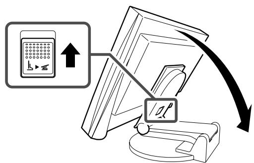 EIZO FLEXSCAN S1701 - XpaHeHne MoHHTopa - 1