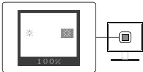 EIZO FLEXSCAN S1701 - För högtalarmodellen - 1