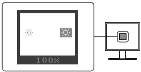 EIZO FLEXSCAN S1721 - För högtalarmodellen - 1