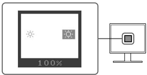 EIZO FLEXSCAN S1911 - Adjusting Brightness - 1