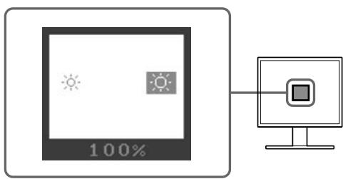 EIZO FLEXSCAN S1911 - Premere quando è visualizzata la luminosità desiderata. - 1
