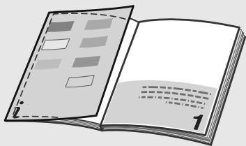 EIZO FLEXSCAN S1921 - Installationshandbuch - 1