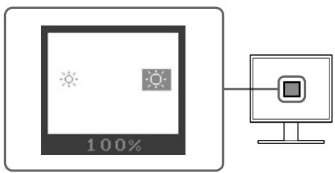 EIZO FLEXSCAN S1921 - Εάν το μοντέλο διαθέτει ηχείο - 1