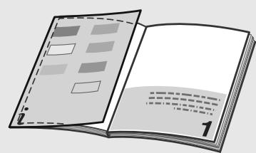 EIZO FLEXSCAN S1931 - Installationshandbuch - 1