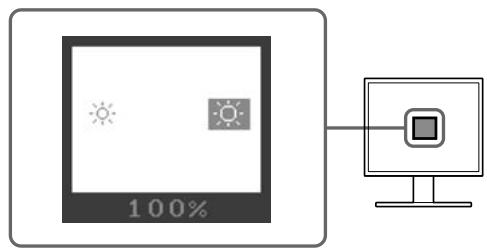 EIZO FLEXSCAN S1931 - Adjusting Brightness - 1