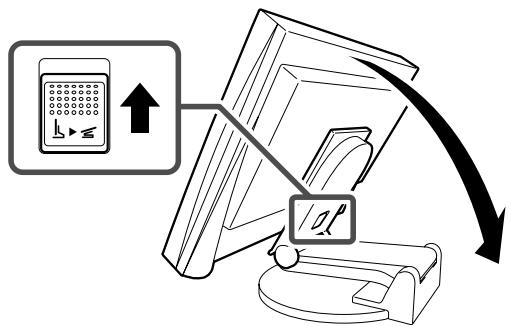 EIZO FLEXSCAN S1931 - Lagern des Monitors - 1