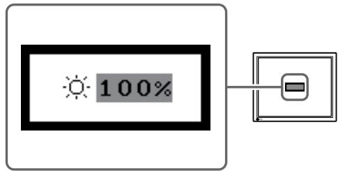 EIZO FLEXSCAN S2100 - Regolazione manuale della luminosità - 1