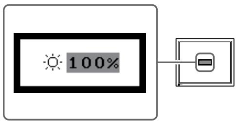 EIZO FLEXSCAN S2100 - HacrpoKa npKocTn BpyHyu. - 1