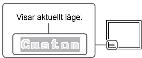 EIZO FLEXSCAN S2100 - Valja skärmläge - 1