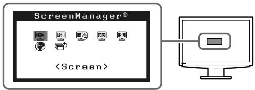 EIZO FLEXSCAN S2111W - Ejecución de la configuración/ajustes avanzados - 1