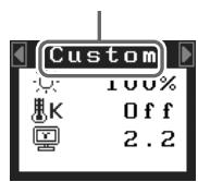 EIZO FLEXSCAN S2111W - Nome modalità FineContrast - 1