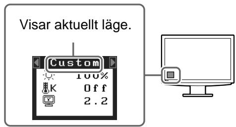 EIZO FLEXSCAN S2111W - Valja skärmläge - 1