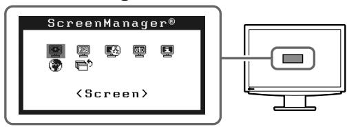 EIZO FLEXSCAN S2111W - Erweiterte Einstellungen/Justierung vornehmen - 1