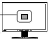 EIZO FLEXSCAN S2231W - Performing Advanced Settings/Adjustments - 3