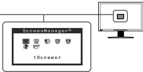 EIZO FLEXSCAN S2401W - Erweiterte Einstellungen/Justierung vornehmen - 2