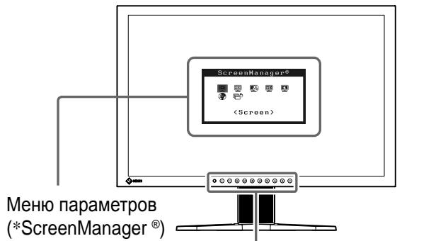 EIZO FLEXSCAN S2401W - Ppimep noDcTaBkn,peynilpyemO nO bVicote - 1
