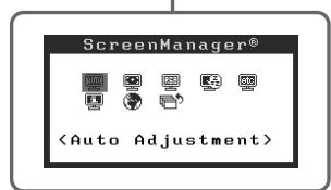 EIZO FLEXSCAN S2401W - Performing Advanced Settings/Adjustments - 1