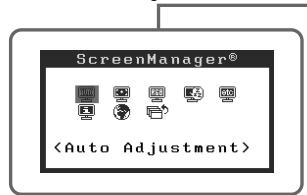 EIZO FLEXSCAN S2401W - Ejecución de la configuración/ajustes avanzados - 1
