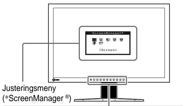 EIZO FLEXSCAN S2401W - Reglage och Funktioner - 1