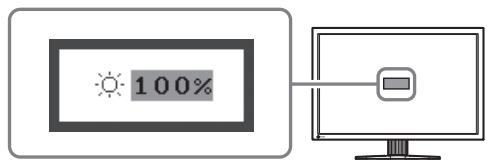 EIZO FLEXSCAN SX3031W - Regolazione della luminosità - 1