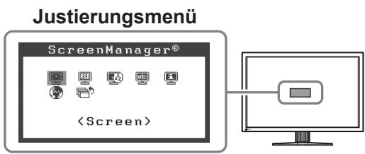 EIZO FLEXSCAN SX3031W - Erweiterte Einstellungen/Justierung vornehmen - 1