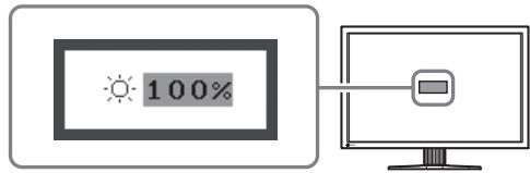 EIZO FLEXSCAN SX3031W - Adjusting Brightness - 1