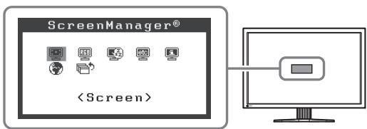 EIZO FLEXSCAN SX3031W - BbINOJIHHeHne dOIOJIHnTeJIbHbIX HaCTpoE/K/peRyIInpOBOK - 1