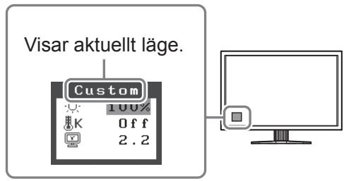EIZO FLEXSCAN SX3031W - Valja skärmläge - 1