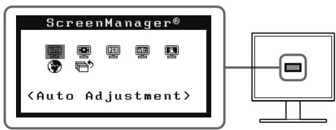 EIZO FLEXSCAN T1721 - Performing Advanced Settings/Adjustments - 1