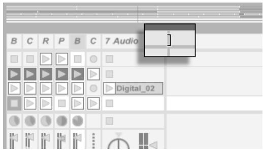 ABLETON LIVE 5 - Pistes et Scènes - 1
