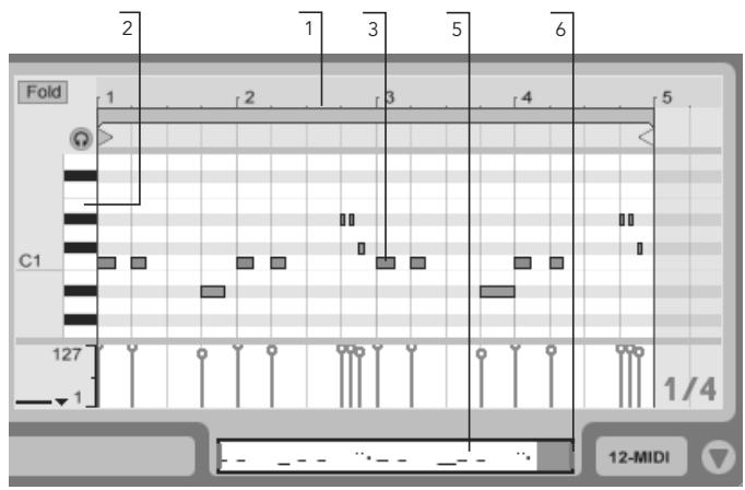 ABLETON LIVE 7 LE - MIDI Editor Navigation and Transport - 2