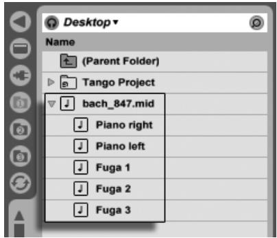 ABLETON LIVE 7 LE - MIDI Files - 1