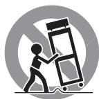 ROTEL RDV-1093 - Important Safety Instructions - 1
