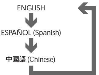 ROTEL RDV-985 - On Screen Language - 2