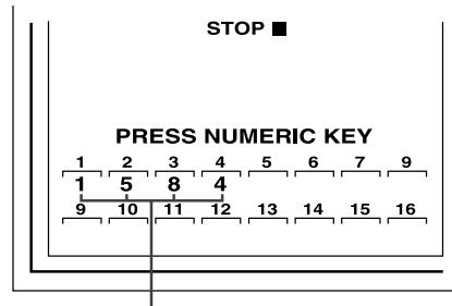 ROTEL RDV-985 - Programming For Playback in a Specified Order - 3