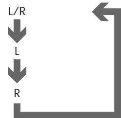 ROTEL RDV-985 - Audio Language Selection - 6