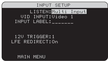 ROTEL RSP-1098 - Multi Input Setup - 1