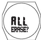 IROX ICLIMBER-ER - LOG delete (ERASE) - 2