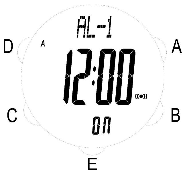 IROX XL P - ALARM MODE - 1