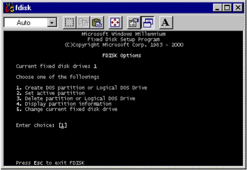 TVIX HD M-4100SH - Making a Partition and Formatting the HDDs under Windows 98SE / ME - 2