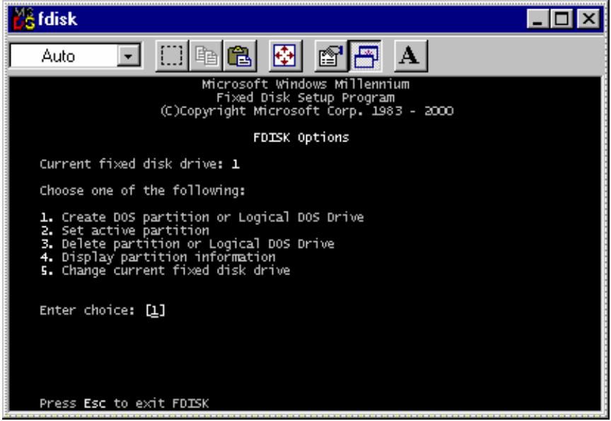 TVIX HD M-5000A - Making a Partition and Formatting the HDDs under Windows 98SE / ME - 2