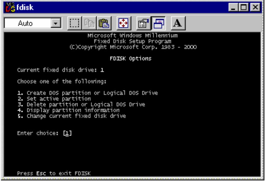 TVIX HD M-5000U - Making a Partition and Formatting the HDDs under Windows 98SE / ME - 2