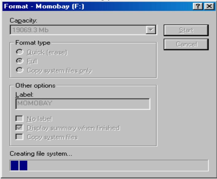TVIX HD M-6500A - Making a Partition and Formatting the HDDs under Windows 98SE / ME - 5